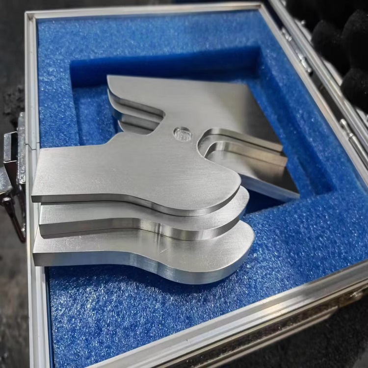 股骨模體 股骨模體