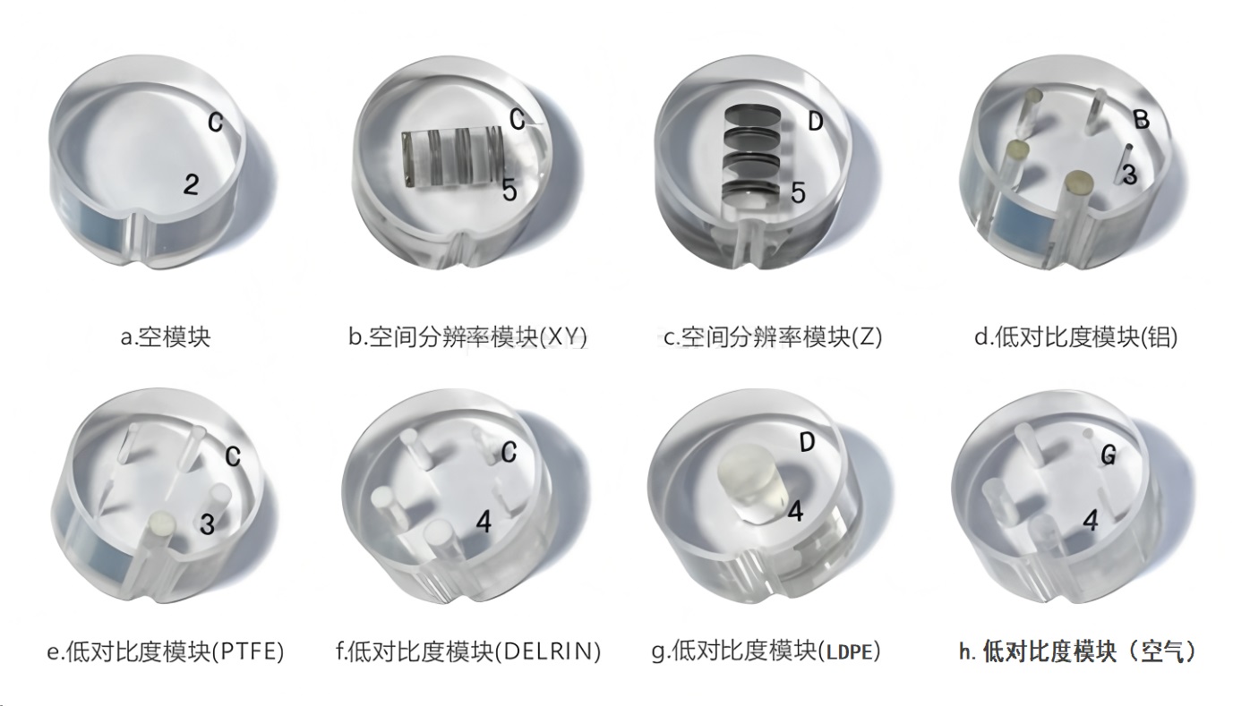口腔模體2 口腔模體2